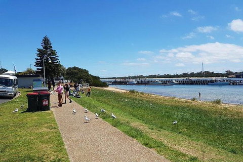Phillip Island Penguin And Wildlife Tour - New Castle Holiday 25
