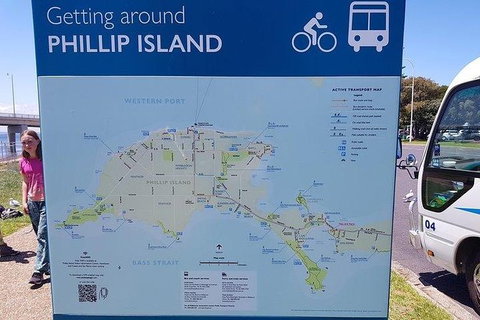 Phillip Island Penguin And Wildlife Tour - New Castle Holiday 28