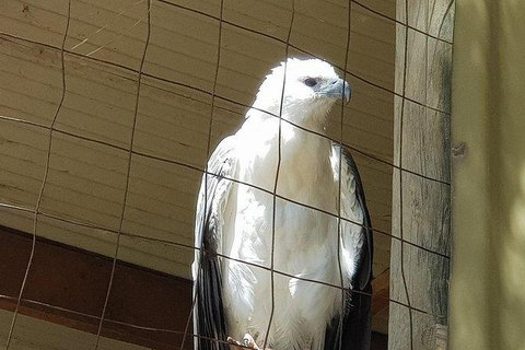 Phillip Island Penguin And Wildlife Tour - New Castle Holiday 21
