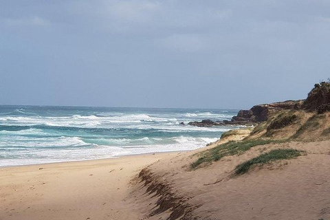 Phillip Island Penguin And Wildlife Tour - New Castle Holiday 10