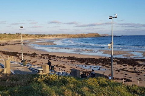 Phillip Island Penguin And Wildlife Tour - New Castle Holiday 8