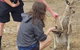 Phillip Island Penguin And Wildlife Tour - thumb 12