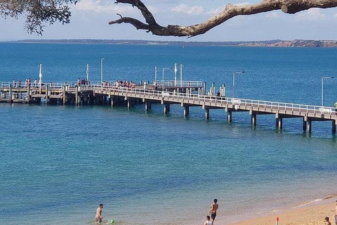 Phillip Island Penguin And Wildlife Tour - New Castle Holiday 2