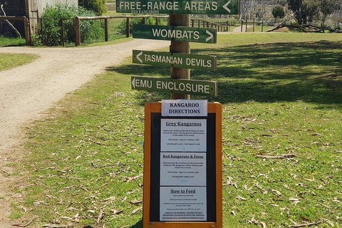 Phillip Island Penguin And Wildlife Tour - New Castle Holiday 4