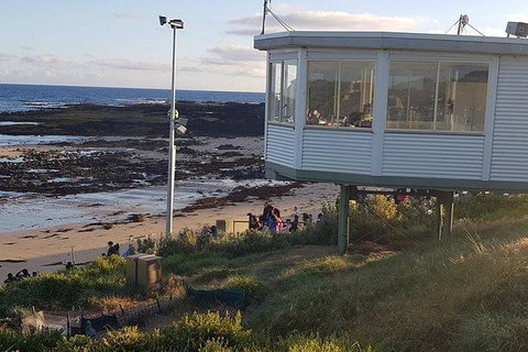 Phillip Island Penguin And Wildlife Tour - New Castle Holiday 33