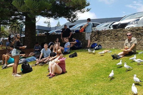 Phillip Island Penguin And Wildlife Tour - New Castle Holiday 22
