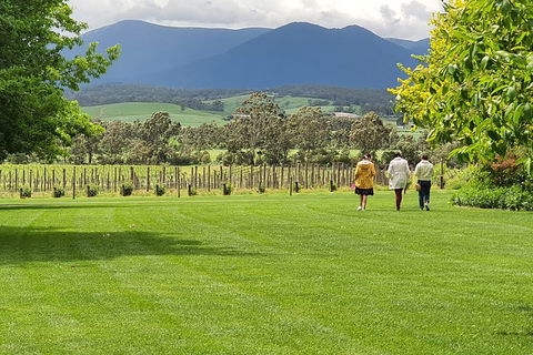 Yarra Valley Wine Tasting Day Tour From Melbourne - New Castle Holiday 6