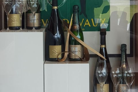 Yarra Valley Wine Tasting Day Tour From Melbourne - New Castle Holiday 2