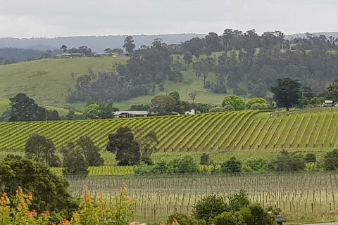 Yarra Valley Wine Tasting Day Tour From Melbourne - New Castle Holiday 0