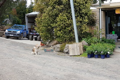 Yarra Valley Wineries And Rayners Orchard Tour From Melbourne - New Castle Holiday 8