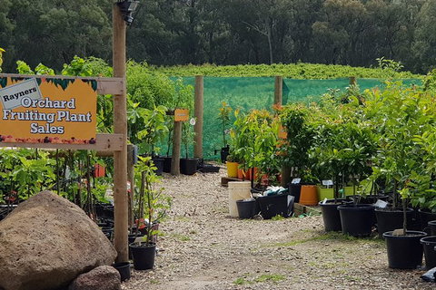 Yarra Valley Wineries And Rayners Orchard Tour From Melbourne - New Castle Holiday 0