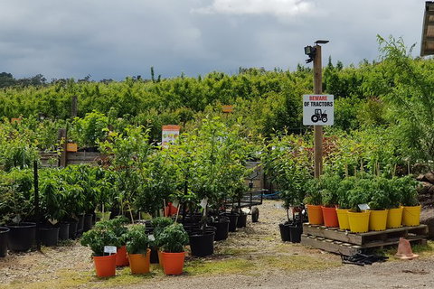 Yarra Valley Wineries And Rayners Orchard Tour From Melbourne - New Castle Holiday 22