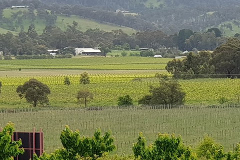 Yarra Valley Wineries And Rayners Orchard Tour From Melbourne - New Castle Holiday 2