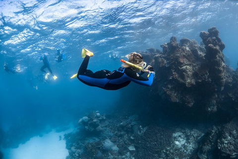 Ningaloo Adventure And Manta Ray Tour - New Castle Holiday 6