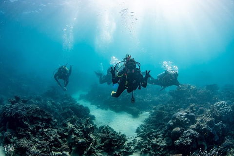 Ningaloo Adventure And Manta Ray Tour - New Castle Holiday 4
