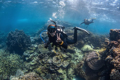 Ningaloo Adventure And Manta Ray Tour - New Castle Holiday 0