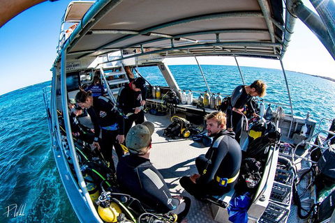 Ningaloo Adventure And Manta Ray Tour - New Castle Holiday 8