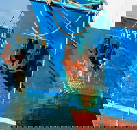 Photography Tour of Historical Fremantle and Street Art. - New Castle Holiday