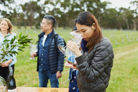 Organic Vineyard/Farm Tour - New Castle Holiday 1