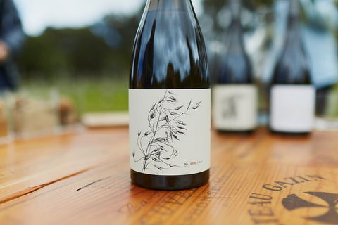 Organic Vineyard/Farm Tour - New Castle Holiday 8