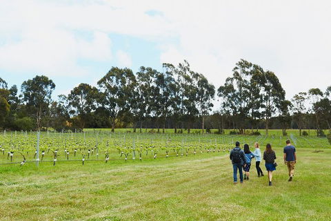 Organic Vineyard/Farm Tour - New Castle Holiday 7