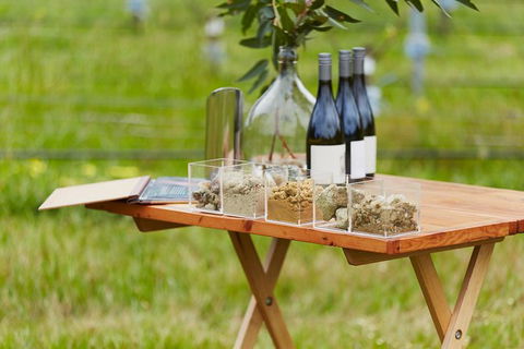 Organic Vineyard/Farm Tour - New Castle Holiday 3