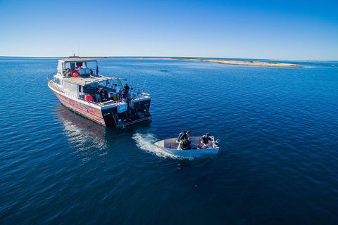 Abrolhos Islands 4 Day Fishing Charter - New Castle Holiday 0