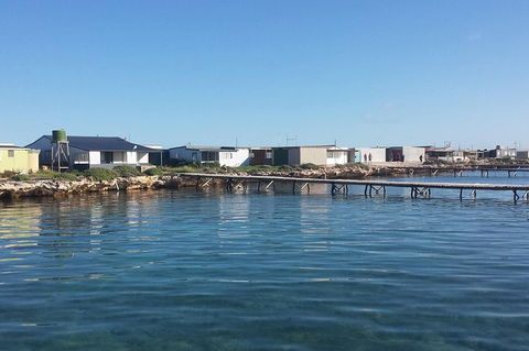 Abrolhos Islands 4 Day Fishing Charter - New Castle Holiday 9