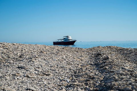Abrolhos Islands 4 Day Fishing Charter - New Castle Holiday 1
