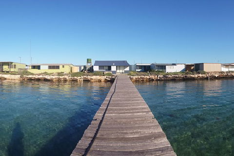 Abrolhos Islands 4 Day Fishing Charter - New Castle Holiday 3