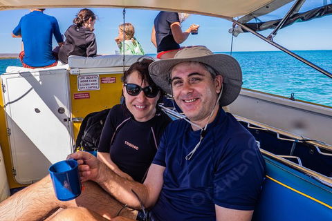 Ningaloo Immersion Private Charter - New Castle Holiday 7