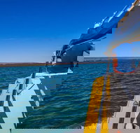 Ningaloo Immersion Private Charter - New Castle Holiday