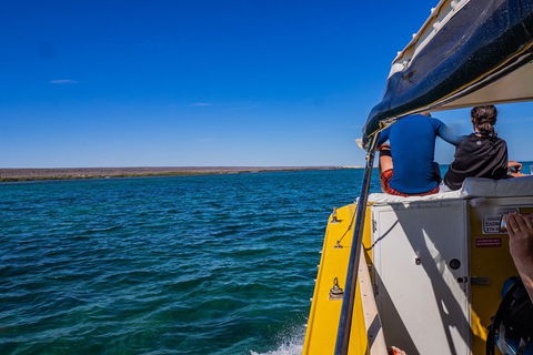 Ningaloo Immersion Private Charter - New Castle Holiday 0