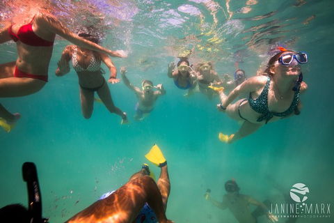Ningaloo Immersion Private Charter - New Castle Holiday 8