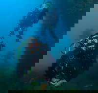 Scuba Dive The Beautiful Rottnest Island - New Castle Holiday