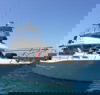 Single Boat Dive - New Castle Holiday