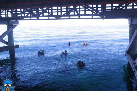 PADI Open Water Course - New Castle Holiday 3