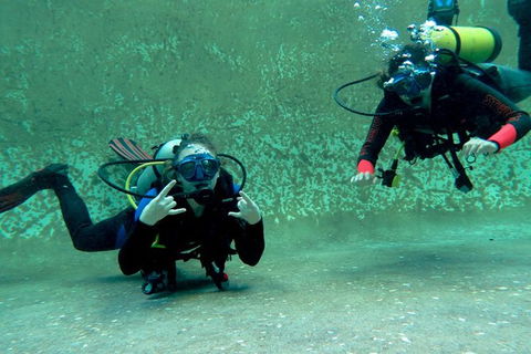 PADI Open Water Course - New Castle Holiday 4