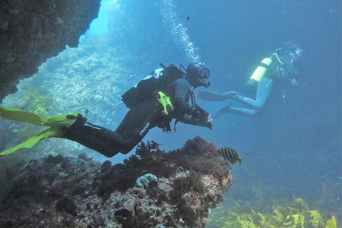 PADI Open Water Course - New Castle Holiday 2
