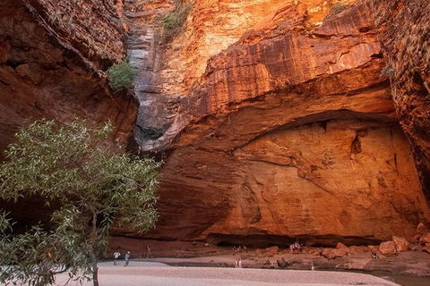 Bungles Day Trek Extended (with Echidna Chasm) - New Castle Holiday 0