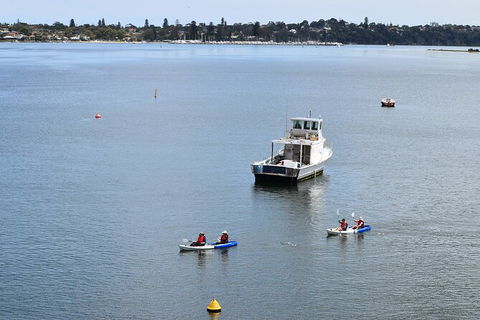 Cliffs And Caves Kayak Tour In Swan River - New Castle Holiday 5
