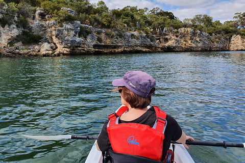 Cliffs And Caves Kayak Tour In Swan River - New Castle Holiday 1