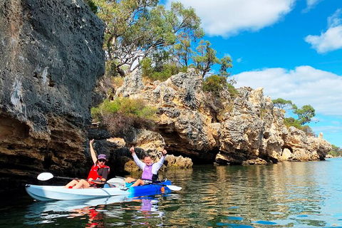 Cliffs And Caves Kayak Tour In Swan River - New Castle Holiday 0