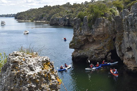 Cliffs And Caves Kayak Tour In Swan River - New Castle Holiday 2