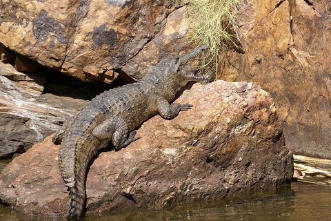 Ord River Experience With Riverside Lunch - New Castle Holiday 2