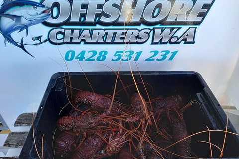 Lobster Fishing Tour At Geraldton - New Castle Holiday 0