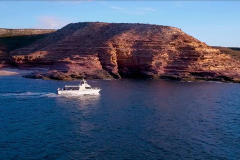 Kalbarri Sunset Coastal Cliff Cruise - New Castle Holiday 4