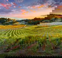 Swan Valley Sunset Wine Tour - Premium Small Group Tour - New Castle Holiday