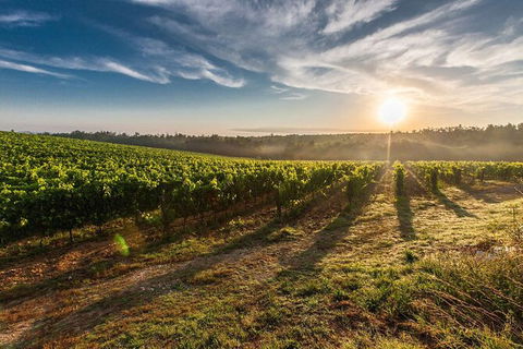 Perth To Margaret River Wine Tour - 2 Day Premium Boutique Wine Tour Experience - New Castle Holiday 0