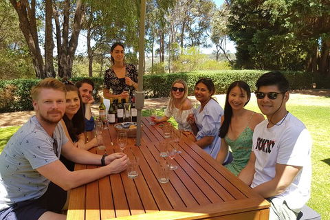 Full-Day Gourmet Wine Tour With Pick Up And Lunch - New Castle Holiday 5